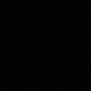 Meet your Posher, Phillip